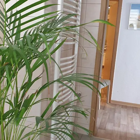 Ferienwohnung Sonnenschein *